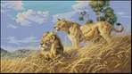 Превью African Lions (521x291, 28Kb)