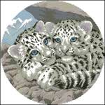  Dimensions00345-Snow Lepard Cubs DimensionsÃÂ (384x384, 29Kb)