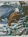  Eagles eye view (538x700, 455Kb)
