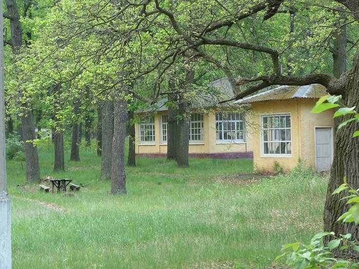 12 (700x525, 210Kb)