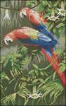  Parrots Jewels of the forest (340x542, 36Kb)