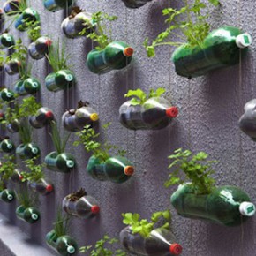 vertical-garden-bottles-01-290x290 (290x290, 33Kb)