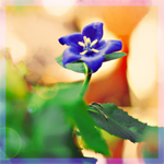 blue_ (150x150, 41Kb)