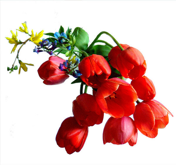 ������������������ ����� ����� (600x564, 84Kb)