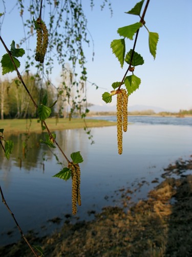0_78551_9c32663e_L (375x500, 50Kb)