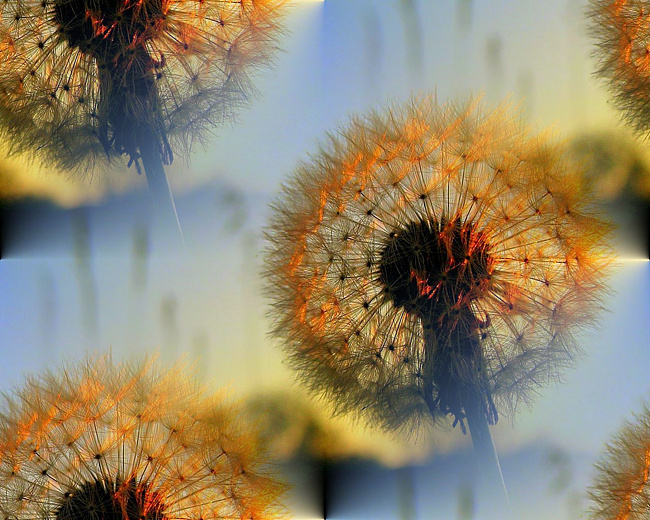 0a19bcfecbc032dc813cf004c733895d (650x520, 199Kb)