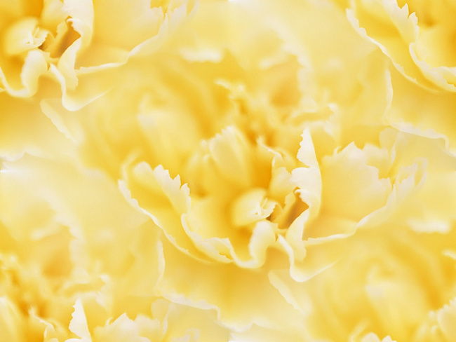 0a19dde1bf5ed8dcfb904c1d2e5b7822 (650x488, 95Kb)