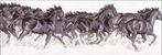  Galloping Horses (700x237, 40Kb)