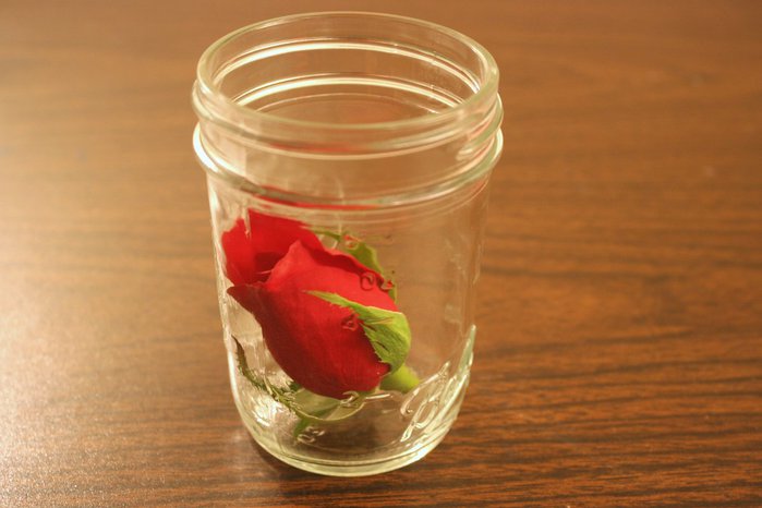drying_roses_with_silica_gel_03 (700x466, 46Kb)