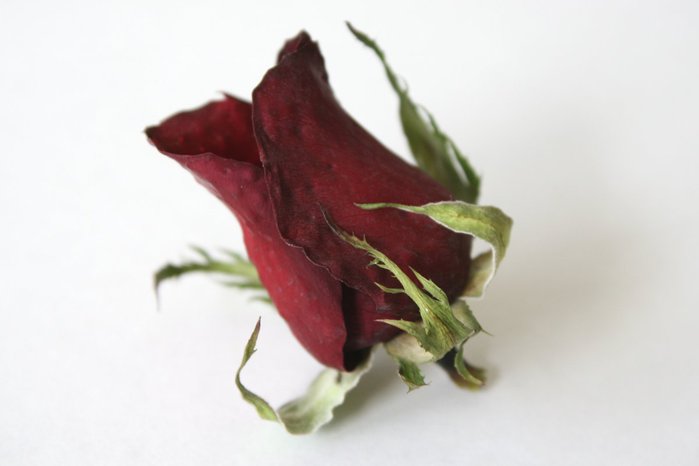 drying_roses_with_silica_gel_09 (700x466, 25Kb)