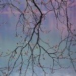 3815384_02 (150x150, 8Kb)
