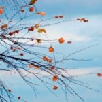 3815384_8975__kopiya (150x150, 16Kb)