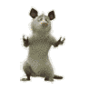 e46157099a78fa06d91d08acf47993cb (98x98, 20Kb)