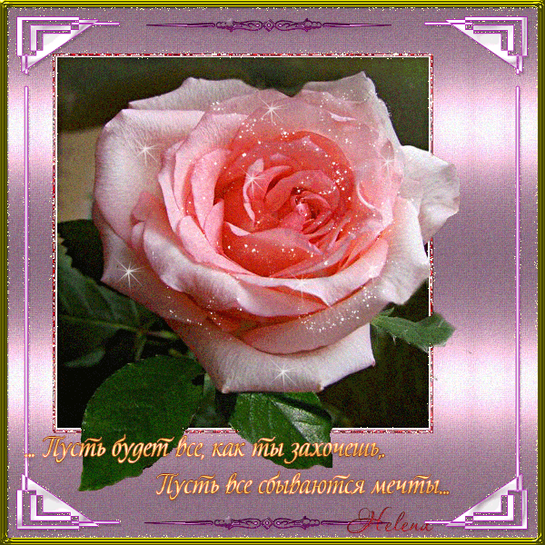 024 (600x600, 784Kb)