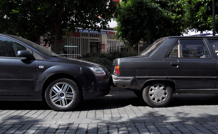 DSC_0820 (700x432, 367Kb)