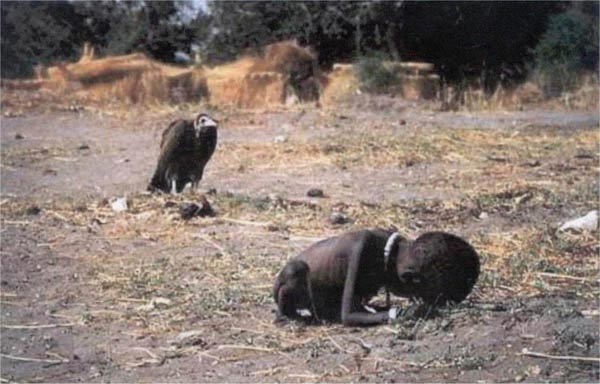 child_vulture (600x384, 45Kb)