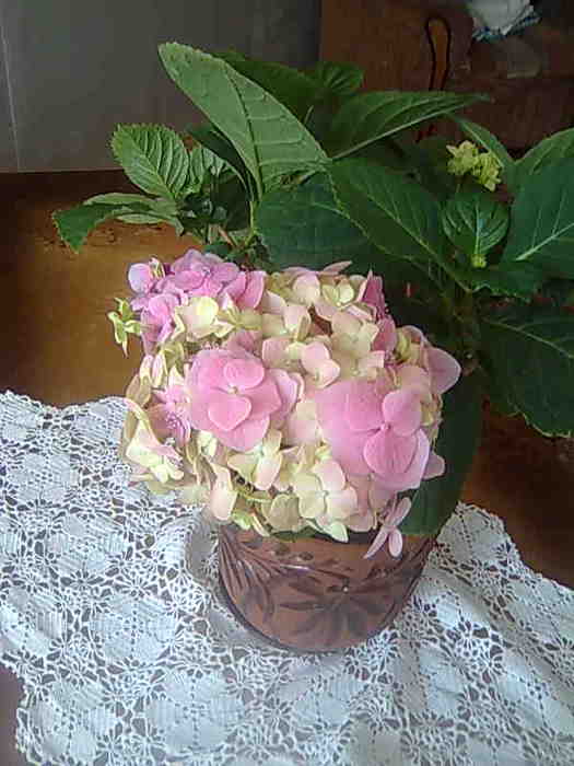 4826692_Foto0074 (525x700, 32Kb)