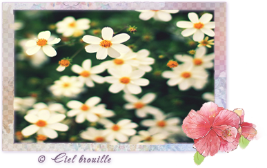 2620530_Pre1111view_spring (387x243, 167Kb)