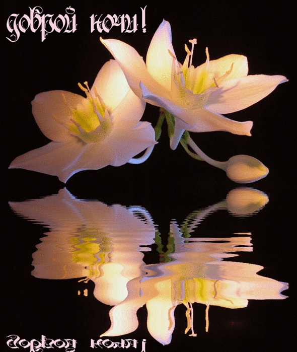 0917316c8d3e30a564f60f2725766c4e (590x700, 1126Kb)