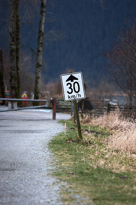 pitt lake (4) (465x700, 184Kb)