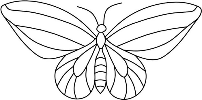 4butterfly20 (700x347, 44Kb)