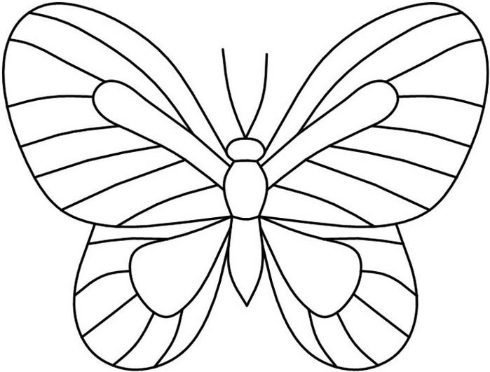 4butterfly24 (700x531, 65Kb)