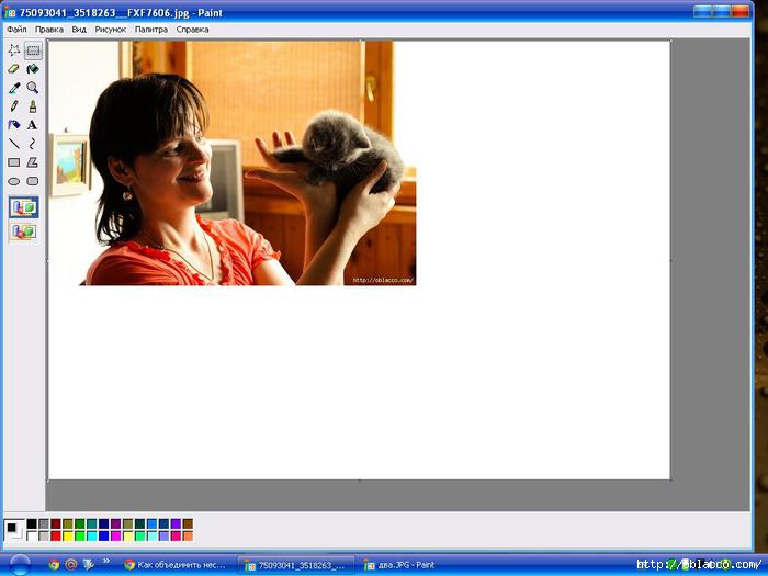 Как объединить две фотографии в Paint