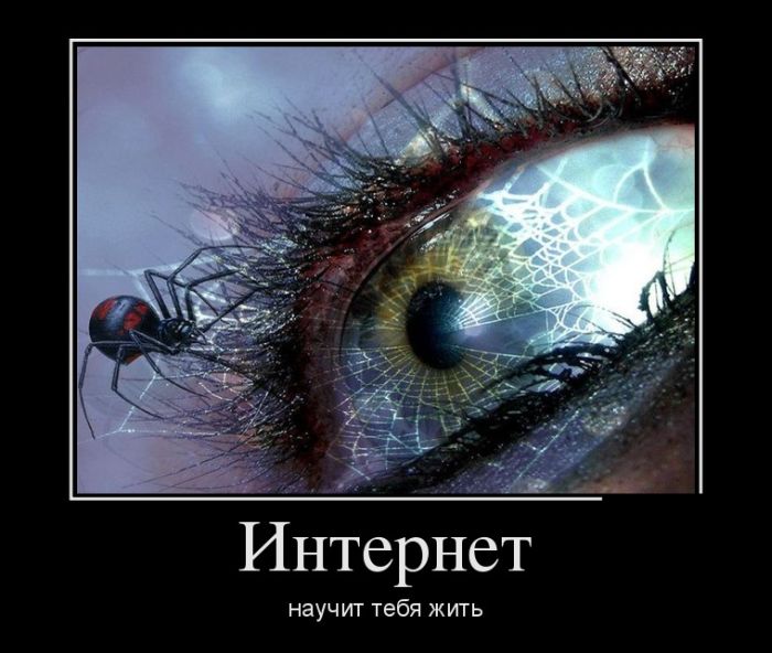 1337749388_demotivatory_12 (700x592, 61Kb)