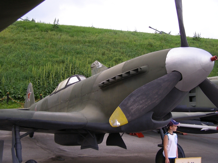 P1011687 (700x525, 260Kb)