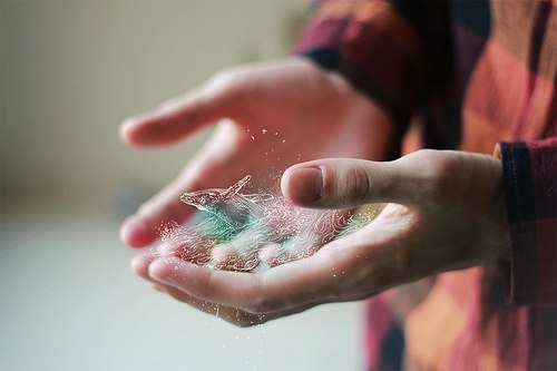 1337857519_Q7ma1SkbPGA (500x333, 25Kb)