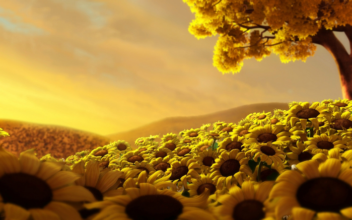 u11307_8438_FlowersCountry (700x437, 338Kb)