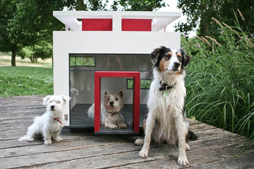 cubix-modern-dog-house-1 (500x333, 83Kb)