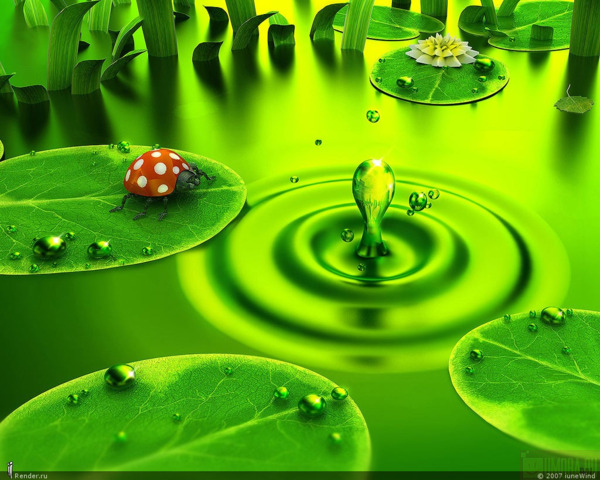 3937459_120740973924841 (600x480, 109Kb)