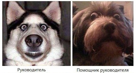 2 (479x258, 28Kb)