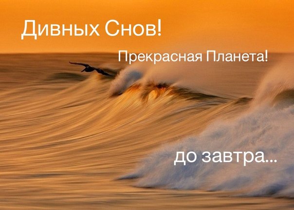 x6bAei3nqa8 (604x431, 48Kb)