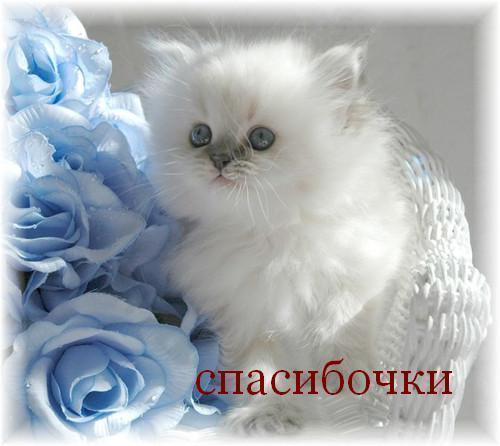 http://img0.liveinternet.ru/images/attach/c/5/87/763/87763640_18.jpg