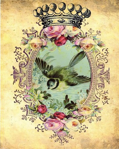 85544903_4_Layla__Forget_Me_Not__vintage_bird_collage__doolfacedesign_on_Etsy (409x512, 72Kb)