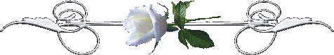 4312926_82c20be8e9ae (476x79, 11Kb)