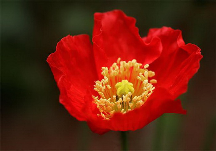 9b64afdfc011 (700x490, 57Kb)