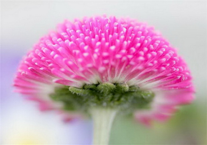 eacf7d238cb3 (700x490, 70Kb)