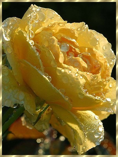 0_7221f_c4d84dab_L (375x500, 69Kb)