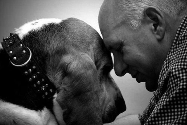 23.dog-love-photos (640x428, 43Kb)