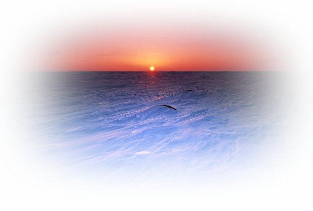 4360286_5001131_00041778 (640x432, 363Kb)