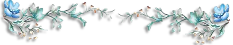 4360286_46852223_1248792915_4 (233x45, 18Kb)