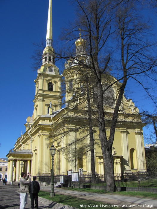 IMG_3811_1 (525x700, 323Kb)