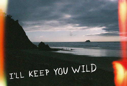 58690899_1273134013_tumblr_l1qfxudkTm1qatbalo1_500 (500x337, 153Kb)