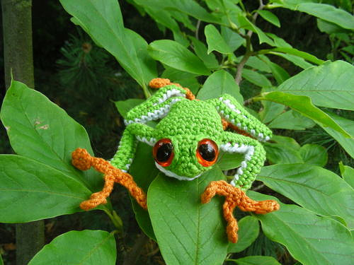 3862163_treefrog0 (500x375, 98Kb)