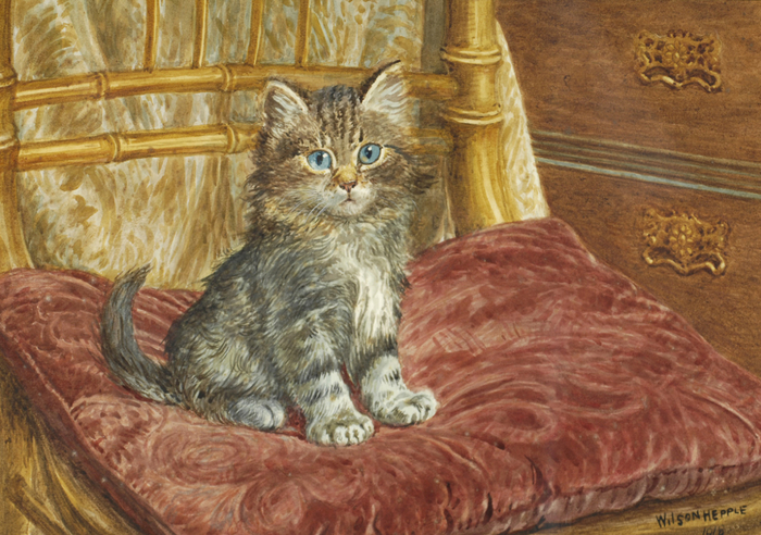 Kitten seated upon a red cushion (700x492, 470Kb)