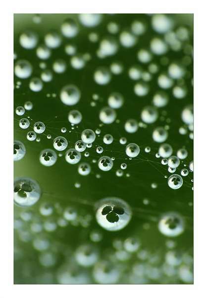 11 (418x600, 23Kb)