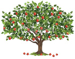  istockphoto_6543000-apple-tree (380x299, 82Kb)